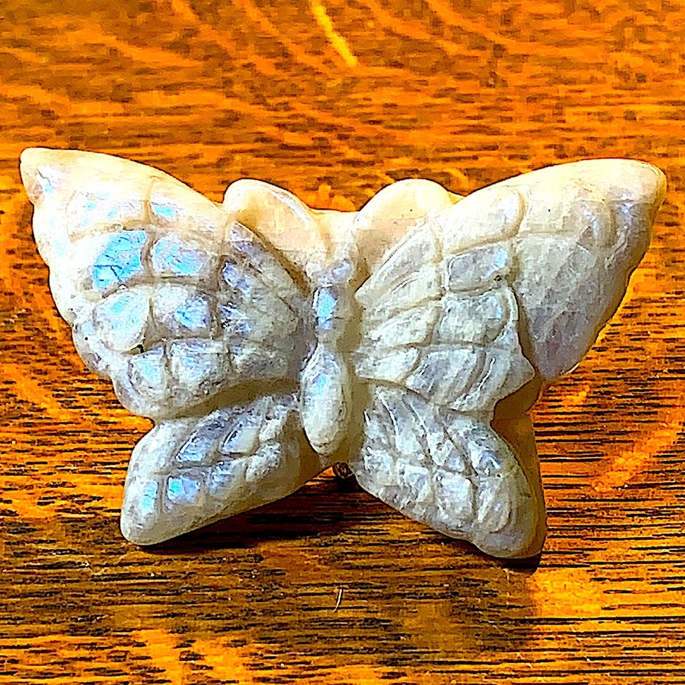 BUTTERFLY 🦋 MOONSTONE CARVED CRYSTAL
